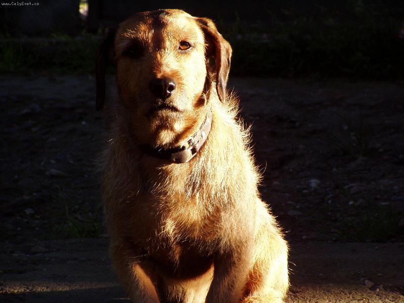 Foto: Moudrost