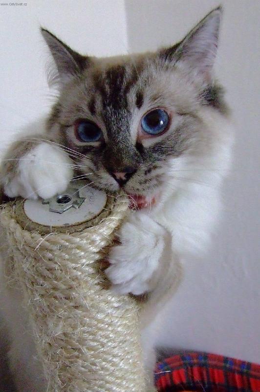 Foto: Orinka