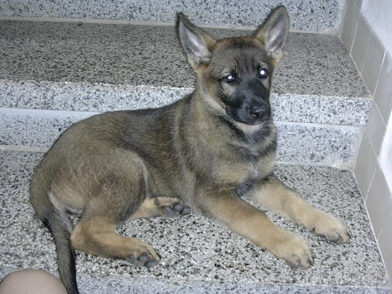 Foto: Bafina