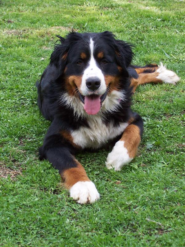 Foto: Nela