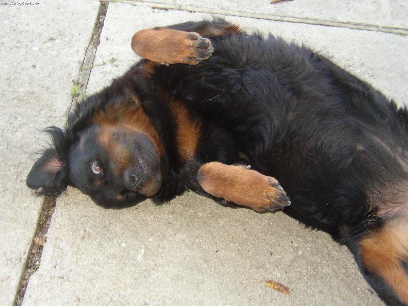 Foto: peggy-pohoda