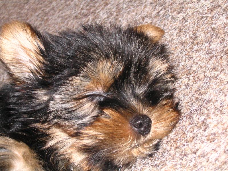 Foto: Spink�me!!!
