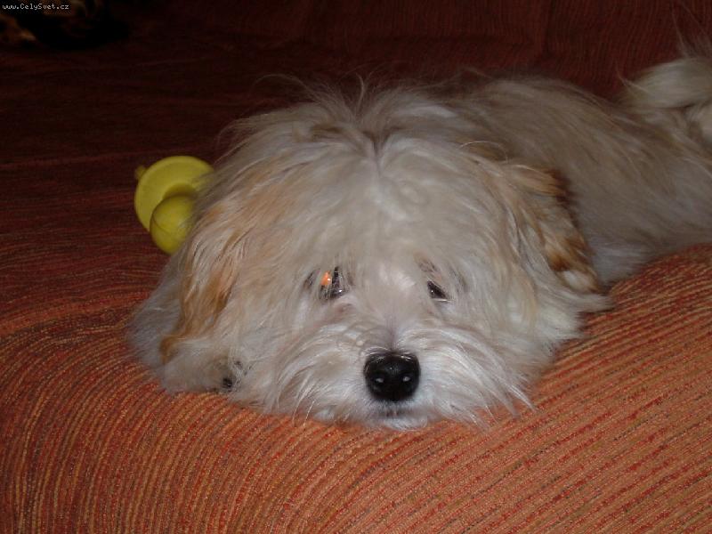 Foto: pohoda