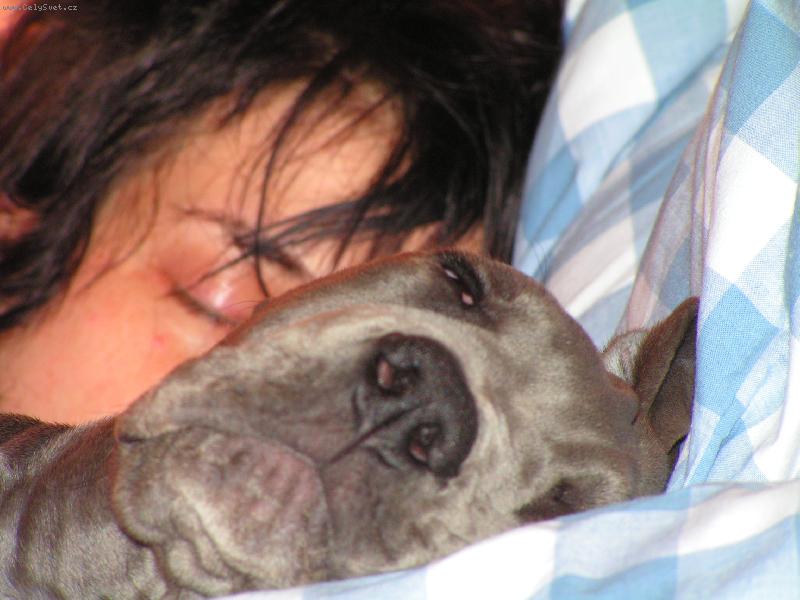 Foto: SIESTA