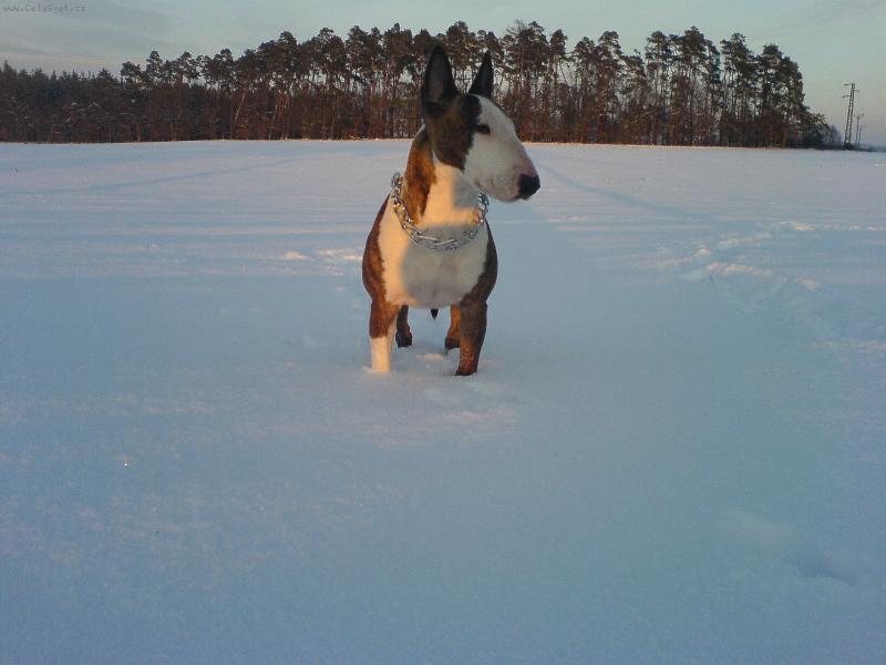Foto: Peggy