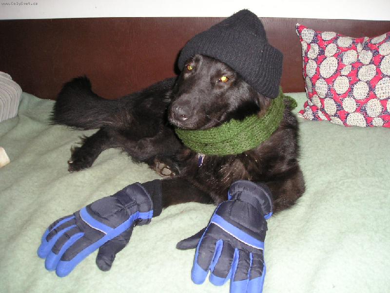Foto: Majda