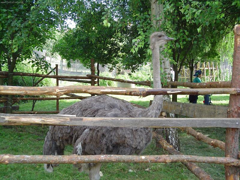 Foto: P�tros