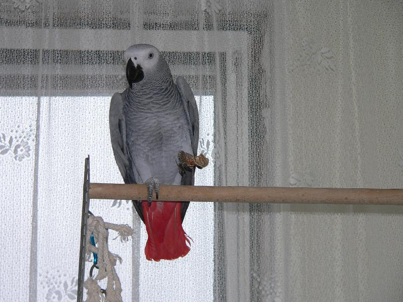 Foto: �ako
