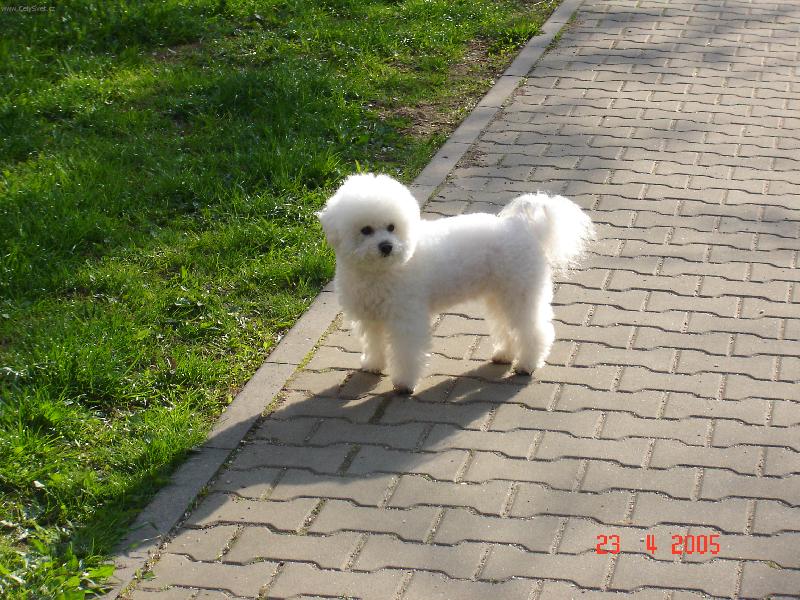 Foto: Arkinka