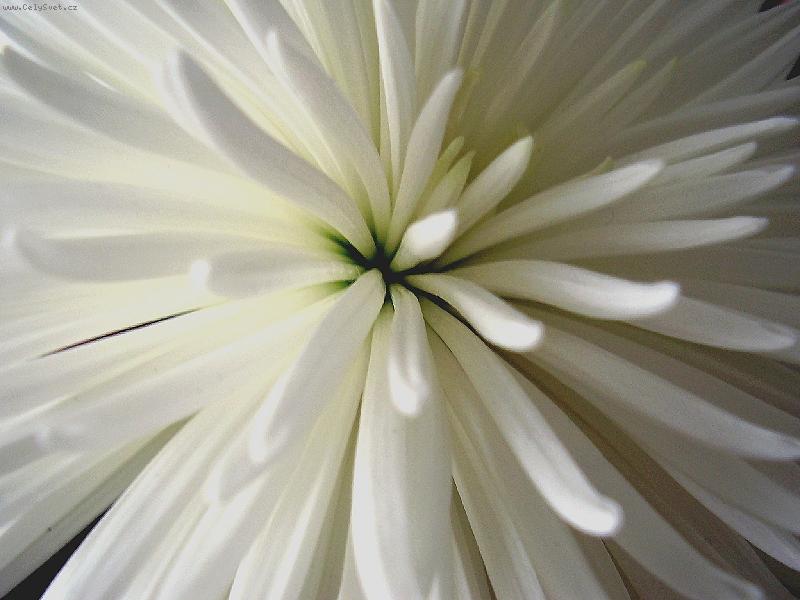Foto: JI�INA