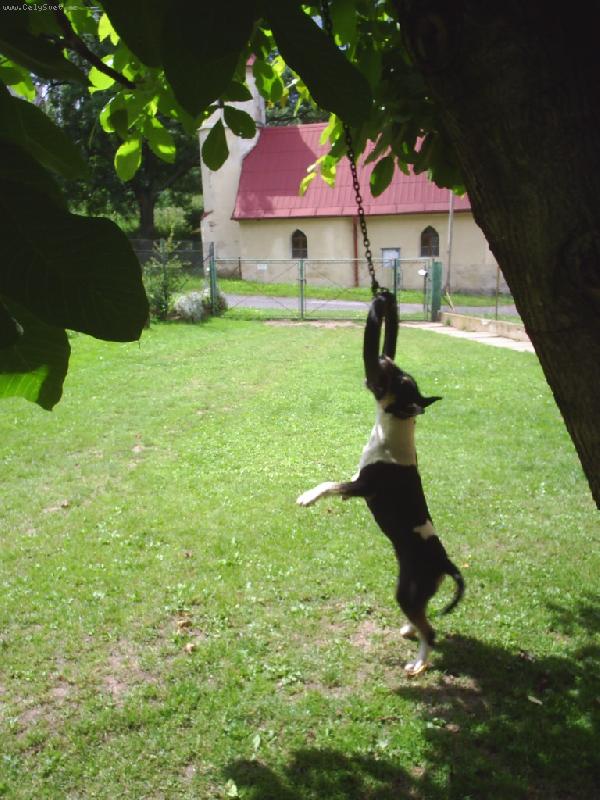 Foto: �iko