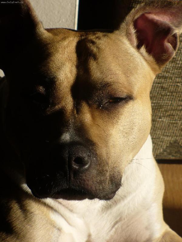 Foto: Lara