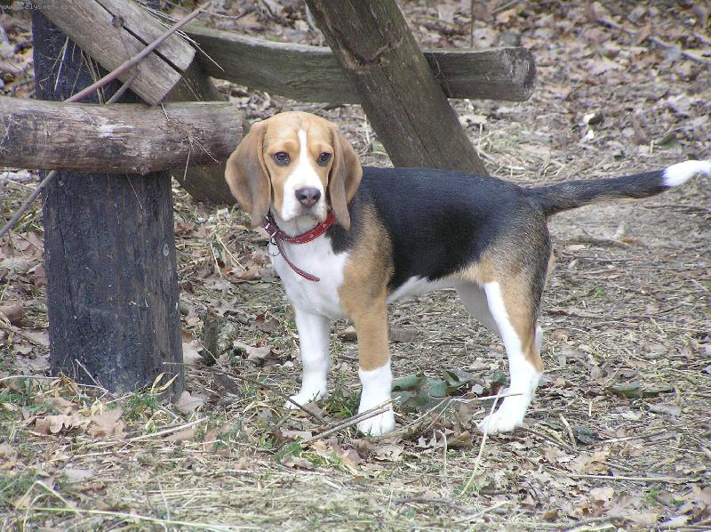Foto: Kerry