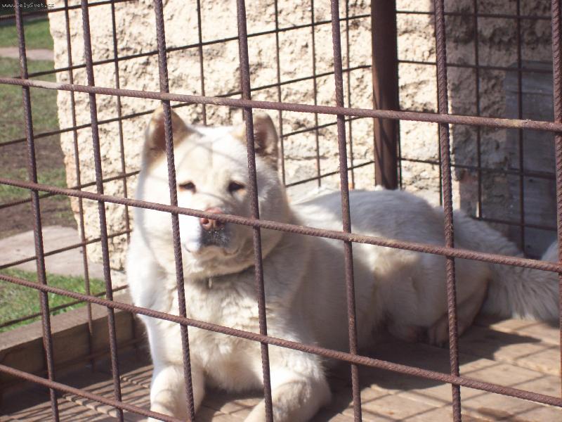 Foto: Zira