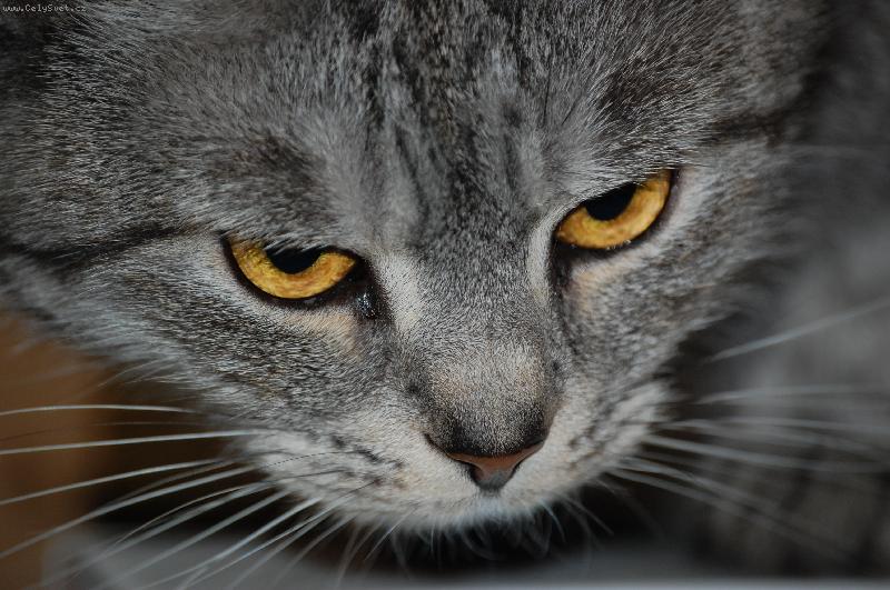 Foto: Roz�rka