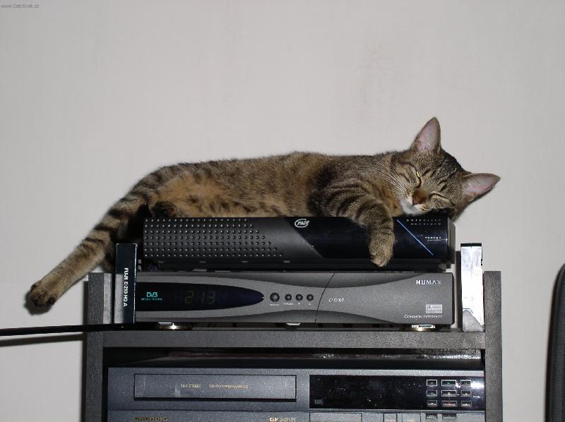 Foto: Dobrou noc