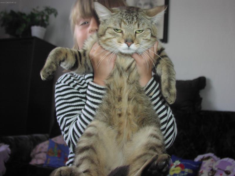Foto: Co se d�je?-Mal�sek se fot�