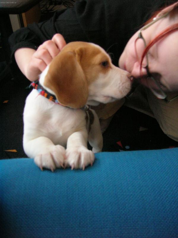 Foto: Fido