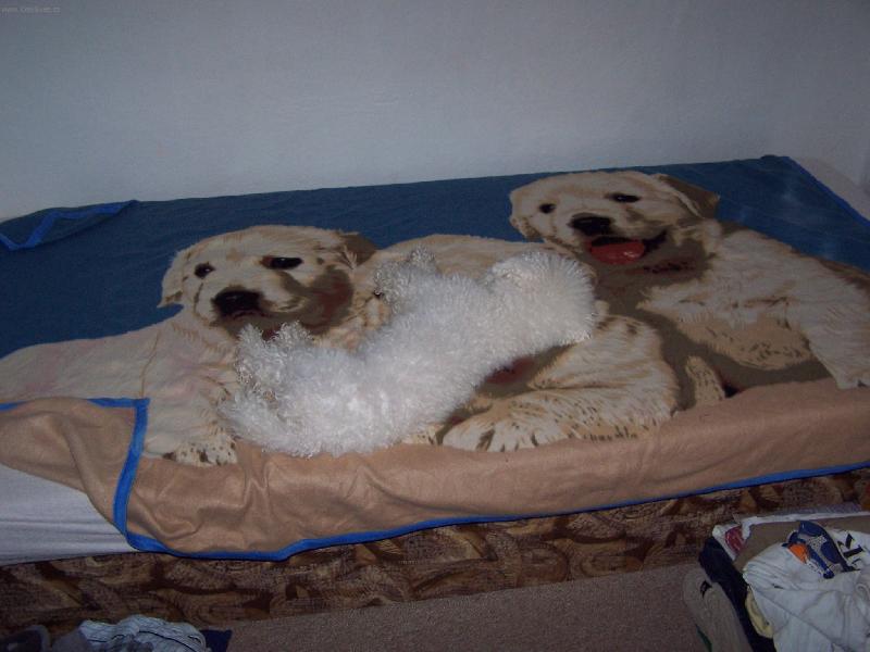 Foto: kenny-spinkam
