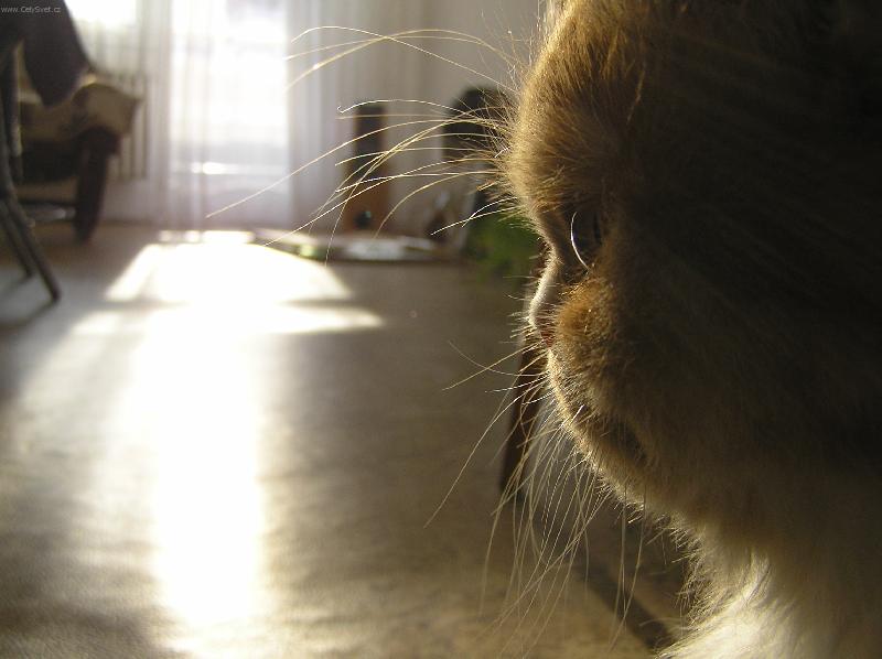 Foto: Beru�ka