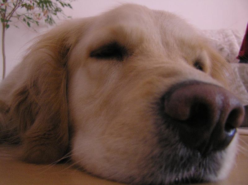 Foto: Betty