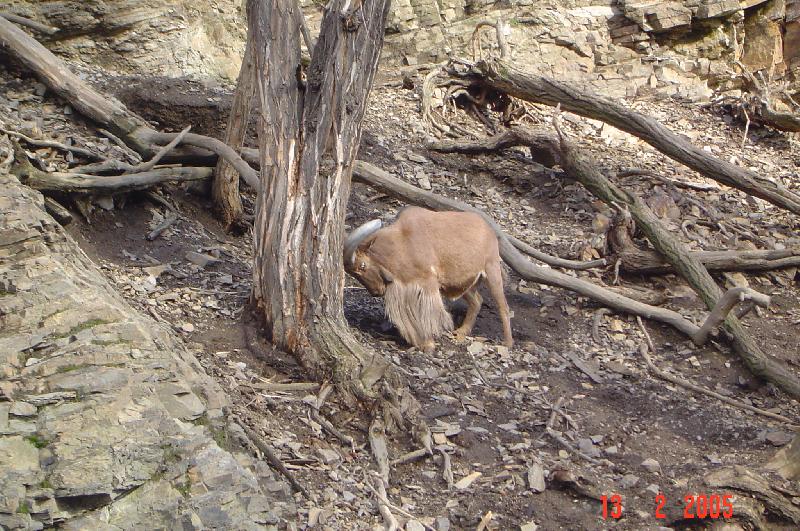 Foto: ZOO Praha