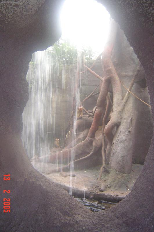 Foto: ZOO Praha