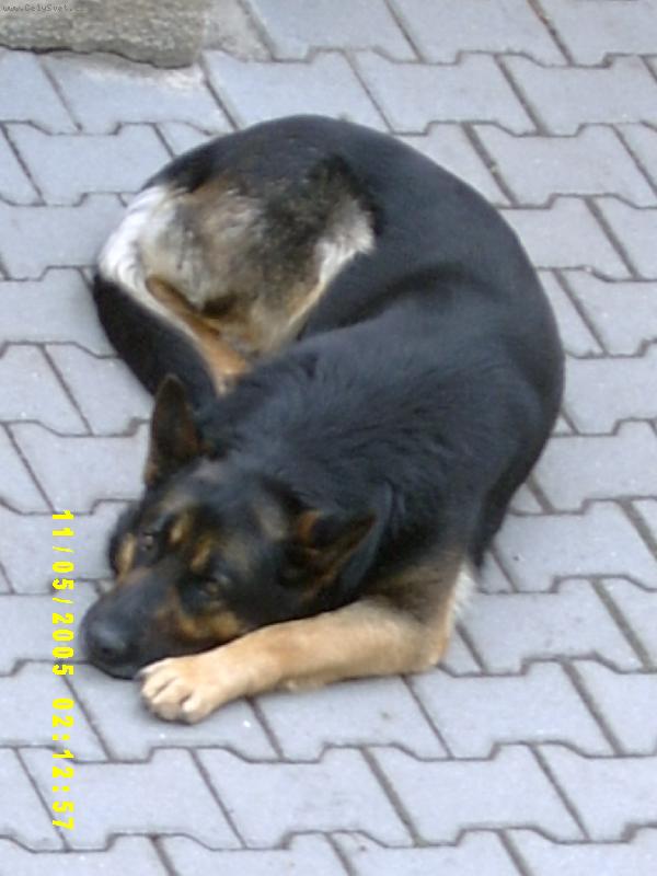 Foto: Bela
