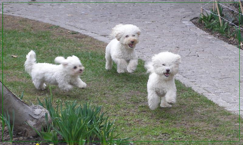 Foto: Z�vody