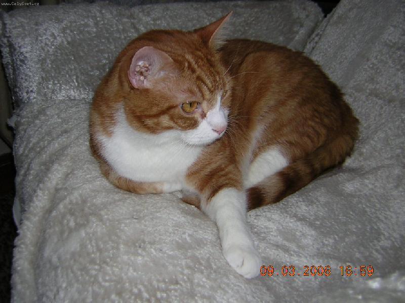 Foto: Rusty