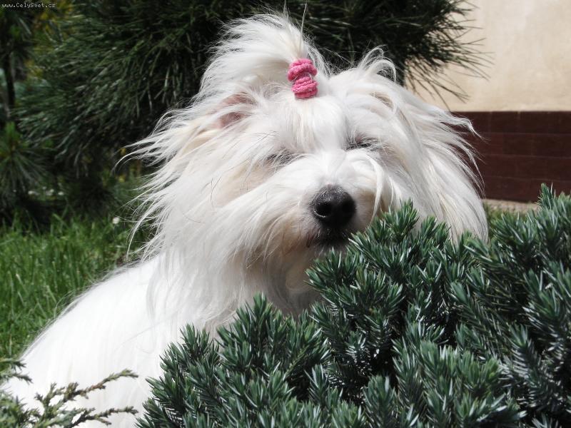 Foto: Nancy