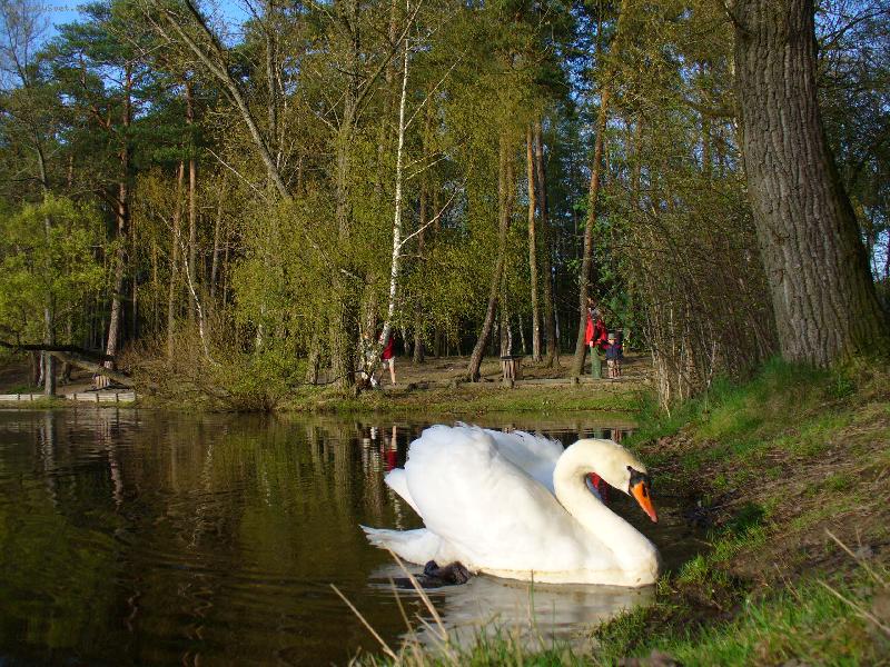 Foto: Na rybniku