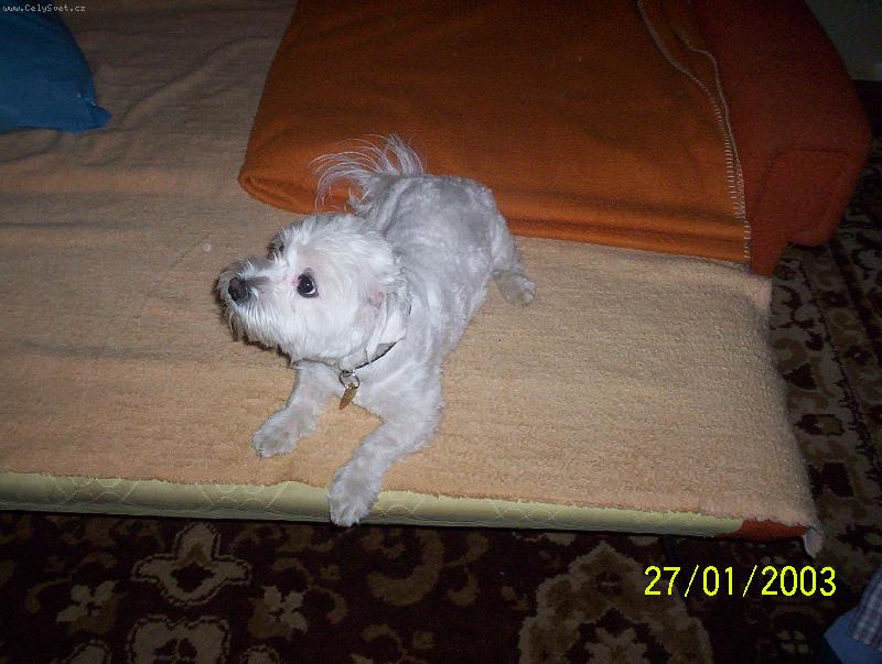 Foto: Mal� Enji