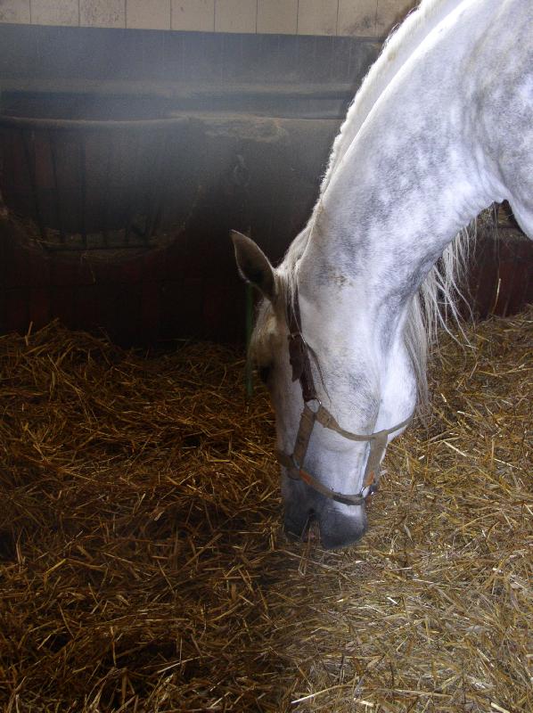 Foto: ve st�ji