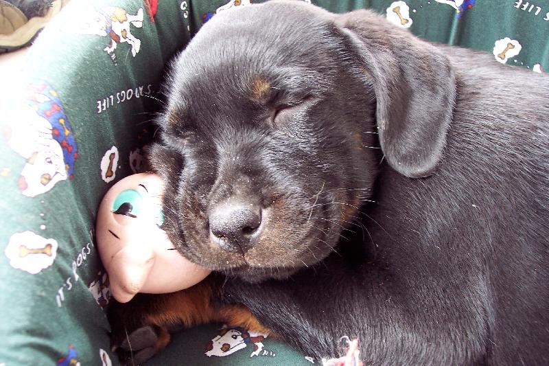 Foto: Deny