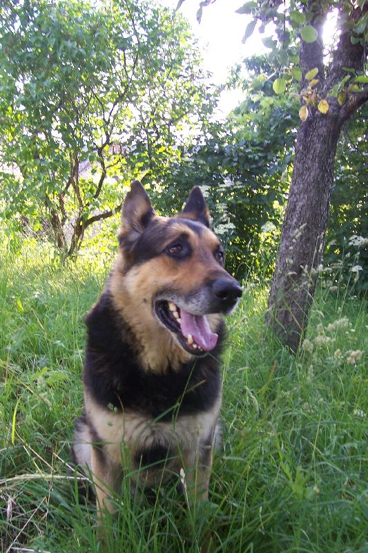 Foto: haf