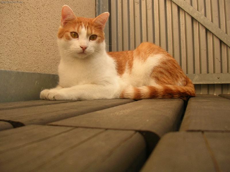 Foto: Na balkon�