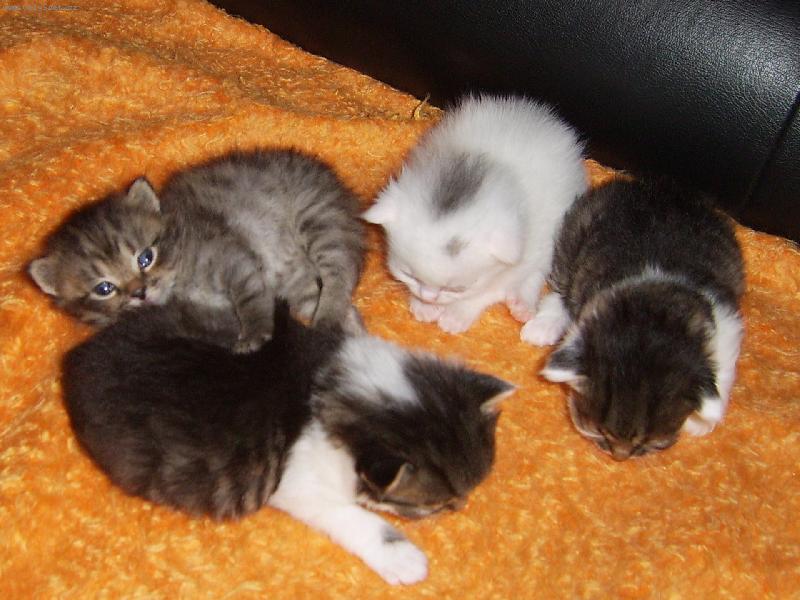 Foto: Miminka