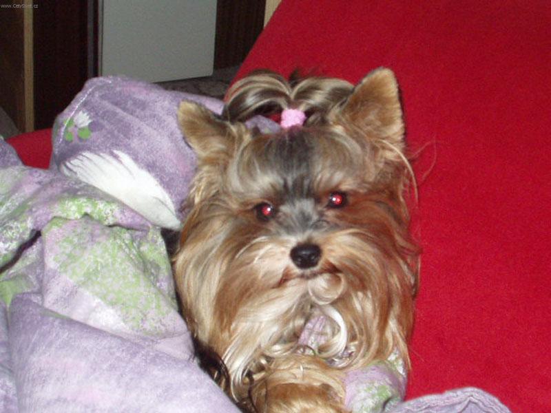 Foto: spink�m