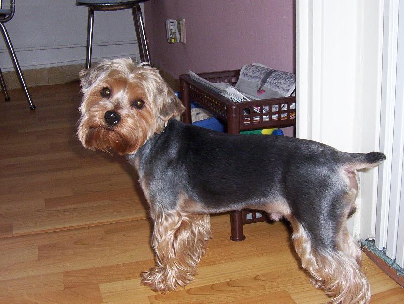 Foto: Tobi�