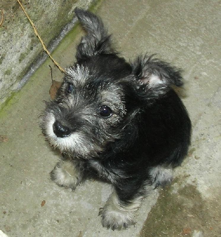 Foto: BENNY-dej mi neco