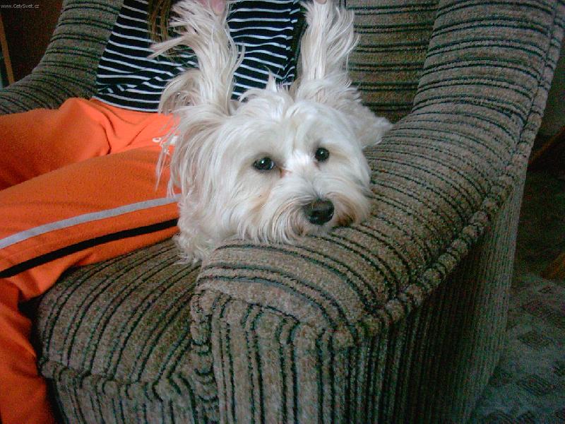 Foto: Art�k-co to zase d�laj�