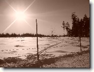 Krkono�e