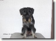 Kolou�ek