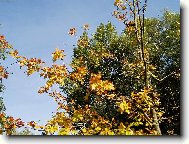 Slune�n� podzim