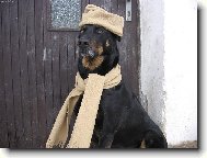 a zima m��e p�ij�t