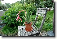 N�dhera.....