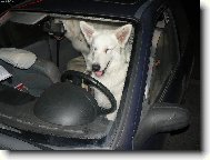 o ��zen� na sv�tovku :-) jsme se vyst��dali v�ichni :-)