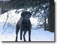na�e Ronu�ka