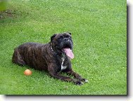 Kdo m� del��?